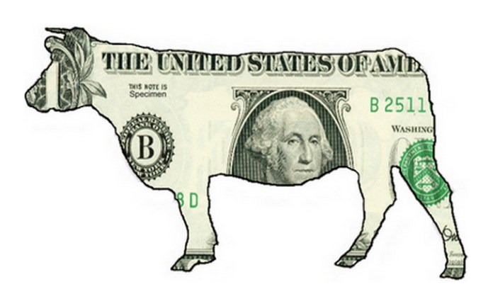 Cash Cow