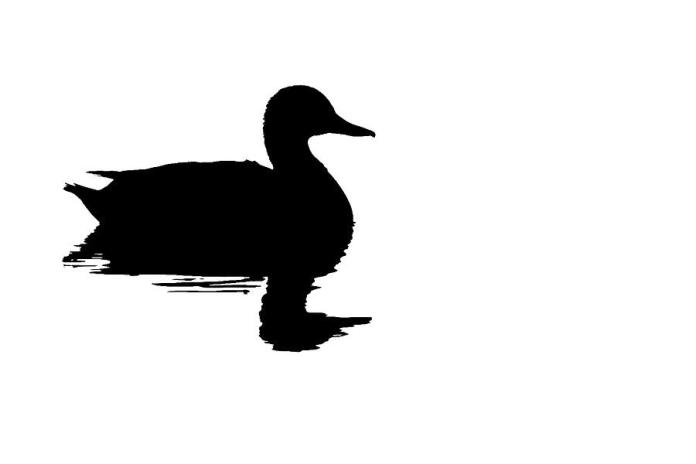 duck-profile-silhouette-27